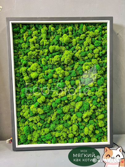 Панно со мхом для бизнеса