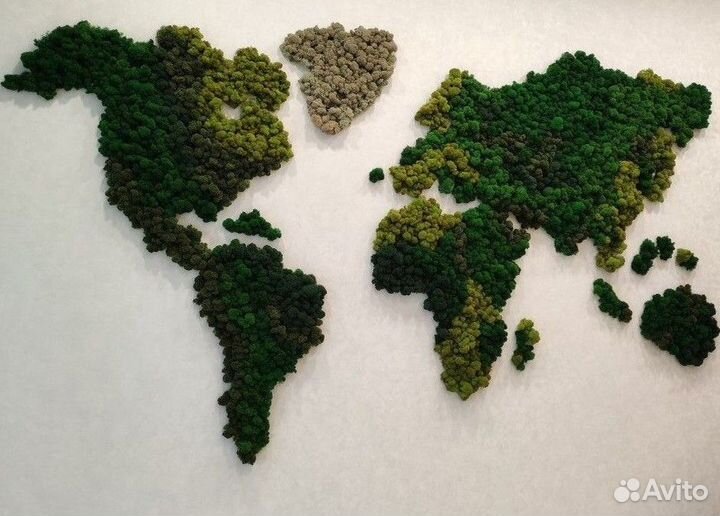 Панно. Декор. Стабилизированный мох