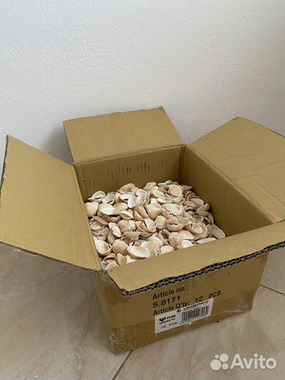 Ракушка Скафарка Черноморская 5,6 кг