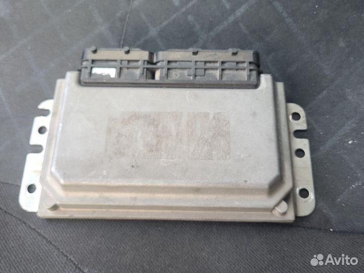 Эбу мозги. На доставке