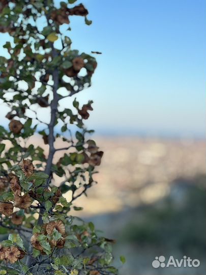 Монтаж видео