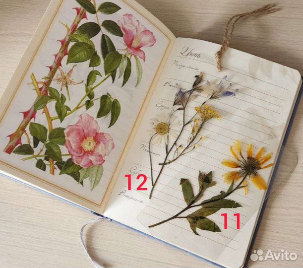 Книжные закладки и блокноты новые