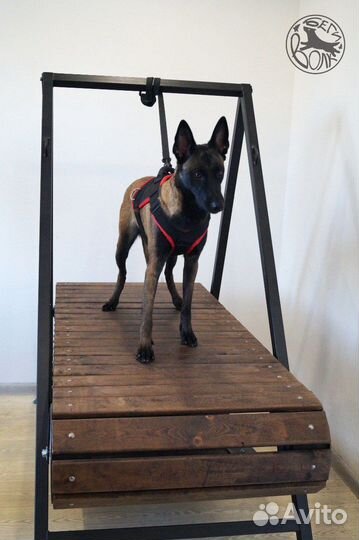 Беговая дорожка для собак механическая