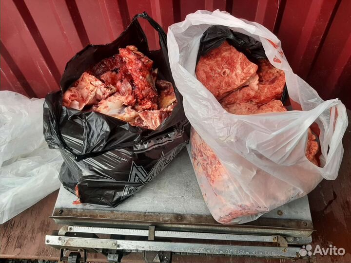 Корм для собак