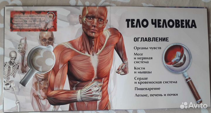 Детская энциклопедия