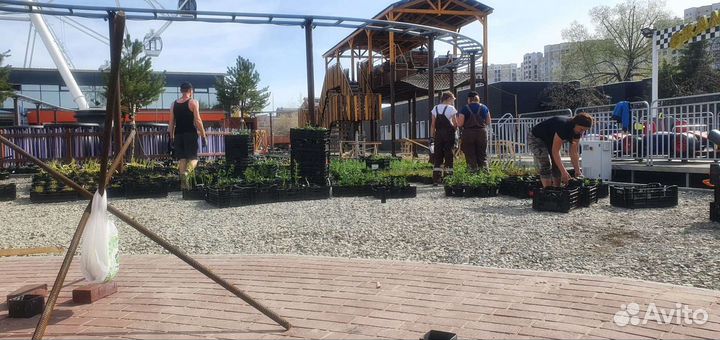 Рабочий на тепличное производство