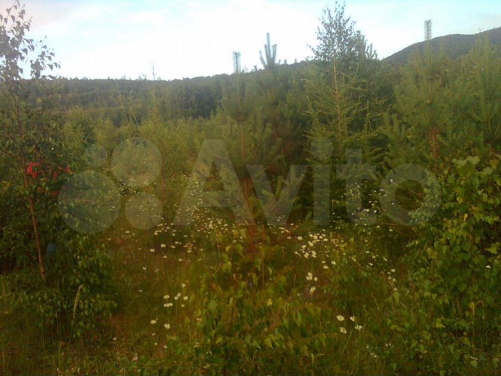 Участок 3,19 га (ИЖС)