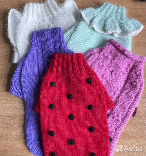 Одежда для собак