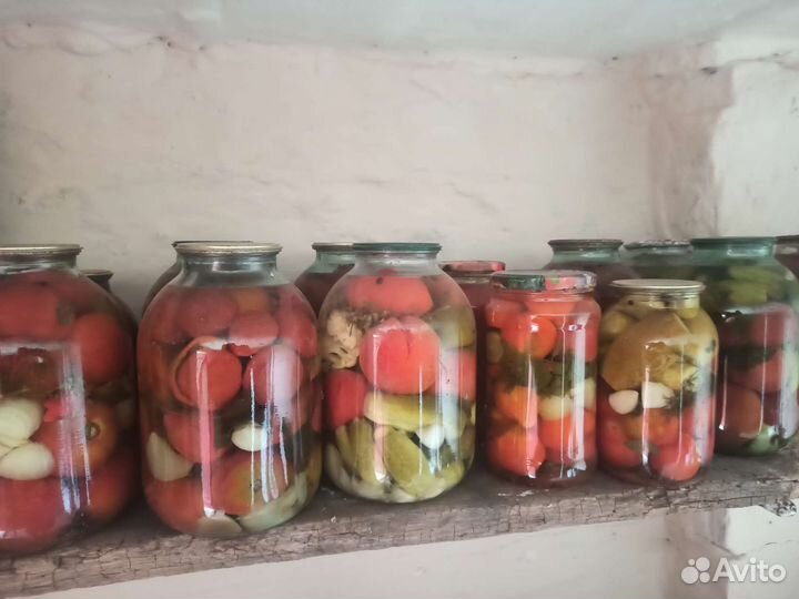 Соленья домашние