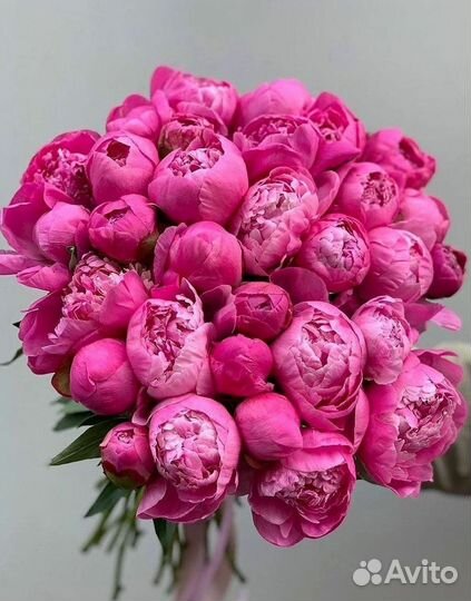 Пионы Букет