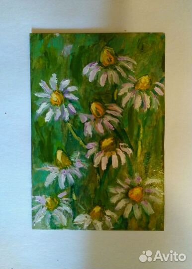 Картина маслом, миниатюра, цветы, ромашки