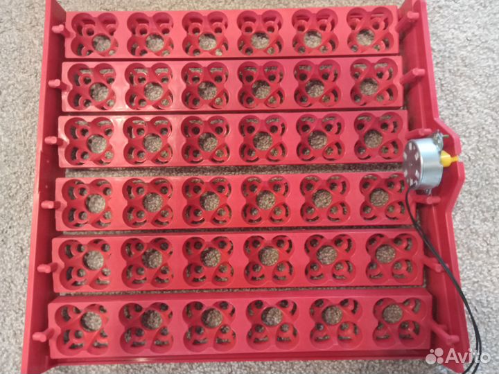 Автоматический инкубатор