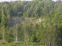 Участок 100 сот. (СНТ, ДНП)