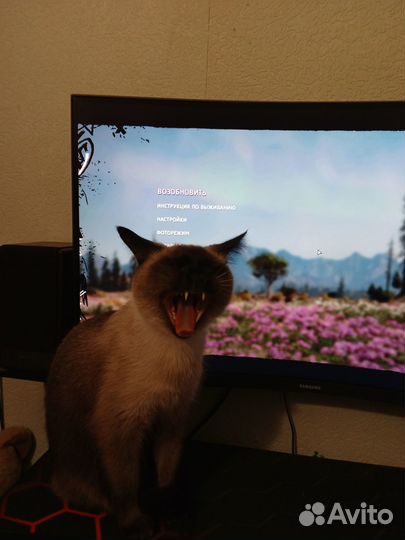 Монитор 144 гц 32