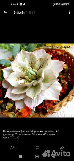 Силиконовая форма