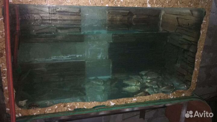 Аквариум для рыб 500л