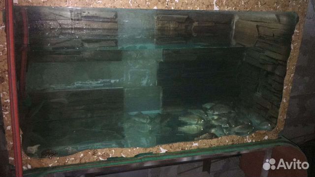 Аквариум для рыб 500л