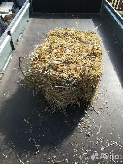 Солома овсяная