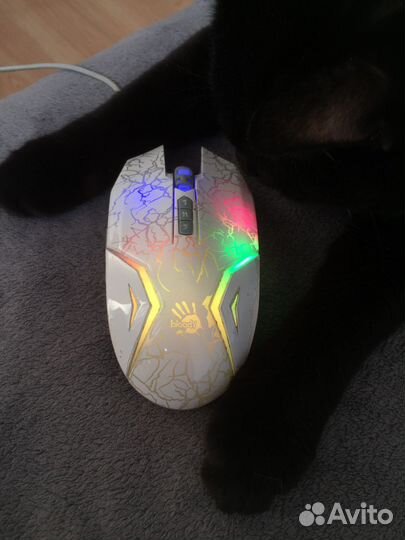 Мышка компьютерная a4tech bloody N50