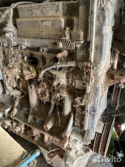 Двигатель hyundai accent