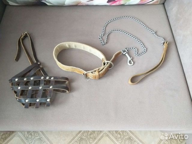 Ошейник, поводок, намордник