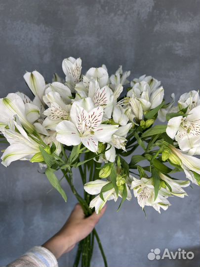 Доставка цветов