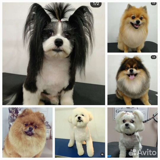 Красота и Настроение за достойное вознаграждение