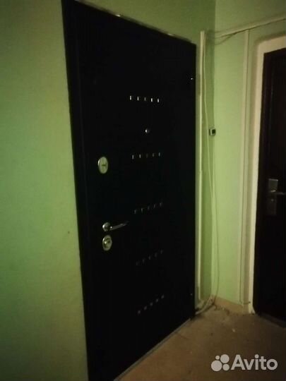 Установлю входную и межкомнатную дверь