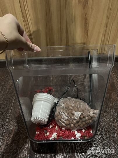 Флорариум аквариум