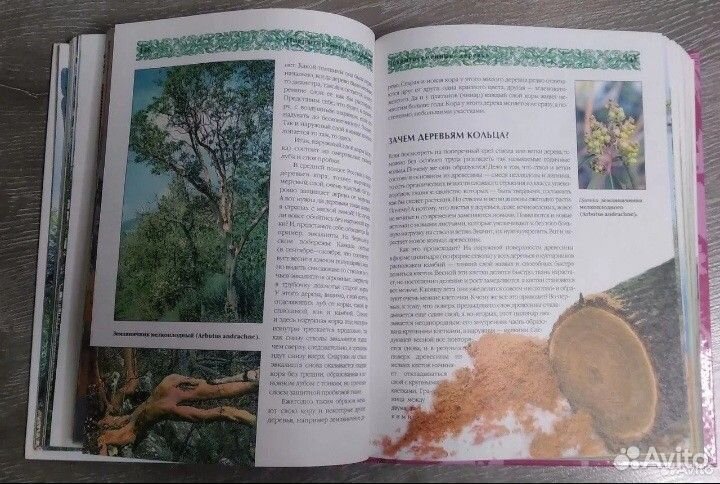 Энциклопедия 