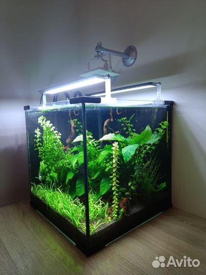Аквариум 64 литра