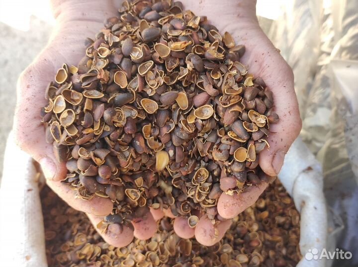 Скорлупа кедрового ореха в мешках