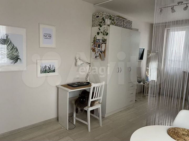 Квартира-студия, 25,5 м², 10/17 эт.