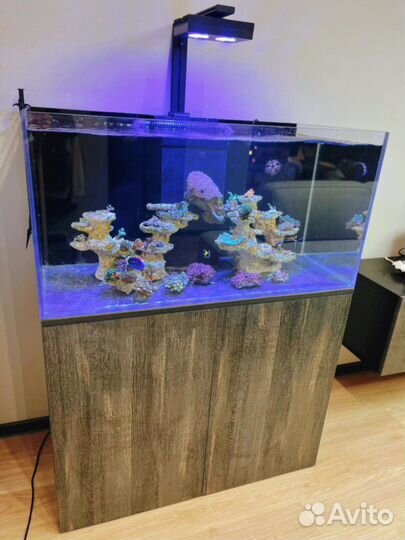 Аквариум морской и пресноводный