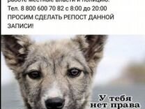 максимов день, максим утешитель (народный праздник). русские звезды сериалов. когда будет 3 февраля. 3 февраля праздник. поздравления с 23 февраля открытки.