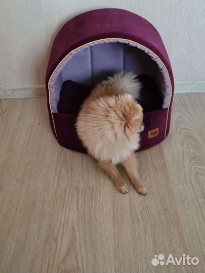 Лежанка для животных