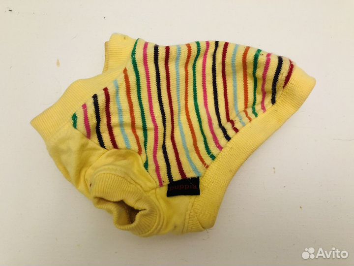 Много одежды для собачки