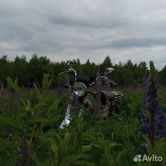 Мопед дельта