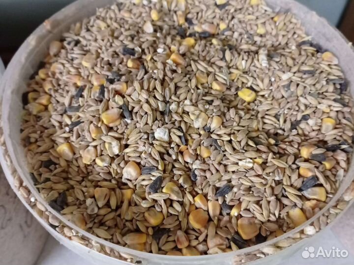 Комбикорма зерносмеси зерно отруби