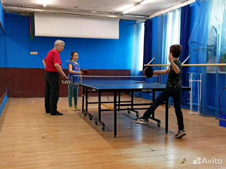 Настольный теннис