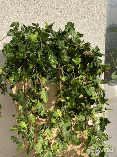 Искусственная трава в кашпо