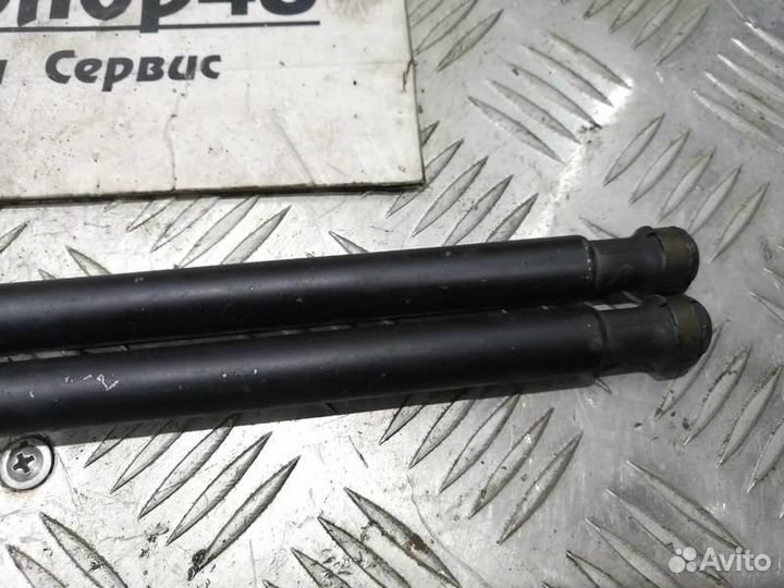 Упоры капота Land Range Rover Sport 1, L320