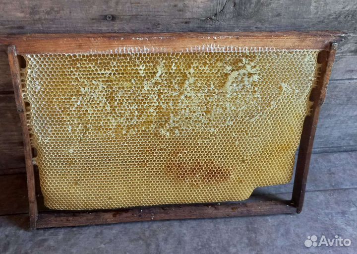 Рамки с сушью