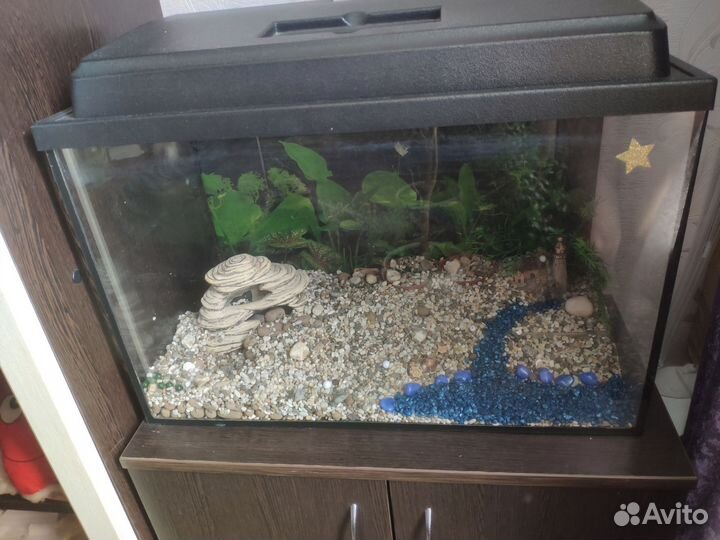 Аквариум с тумбой 50 литров