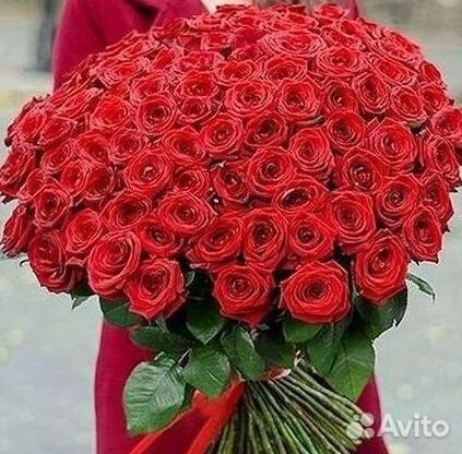 Цветы розы букеты 25 31 35 51 101 251 Доставка