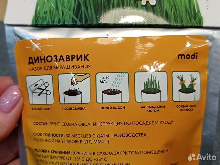 Семена набор для выращивания Динозаврик