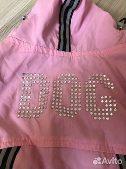 Одежда для собак мелких пород