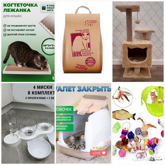 Всё необходимое для котёнка