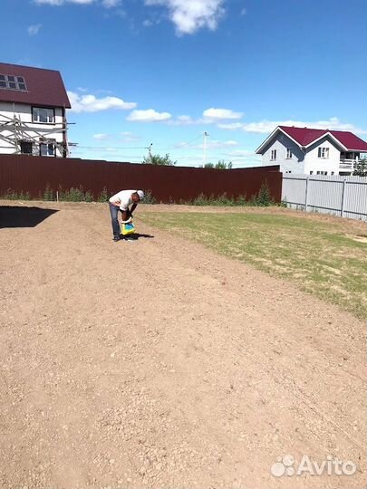 Посев травы на участке. Посевной газон