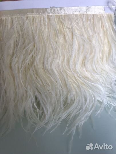 Новые перья страуса